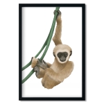 plakat | affe
