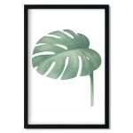 plakat | monstera
