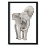 plakat | elefant