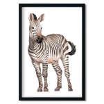 plakat | zebra