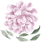 sticker | lilac peony L