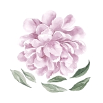 sticker | lilac peony S