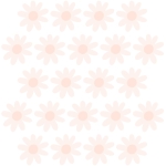 sticker | daisies VIII