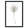 dandelion poster for kids / flower poster for kids / kids' poster / poster for children's room