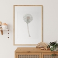 dandelion poster for kids / flower poster for kids / kids' poster / poster for children's room