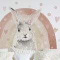 wall sticker bunny / wall decal animals/ wall sticker with animals