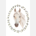 poster for children horse/ poster for children watercolor / poster for children / poster for a children room