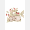 poster for children bunny/ poster for children watercolor / poster for children / poster for a children room