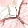 wallpaper butterflies / butterfly wallpaper / wallpaper for kids / wallpaper pastelowe love
