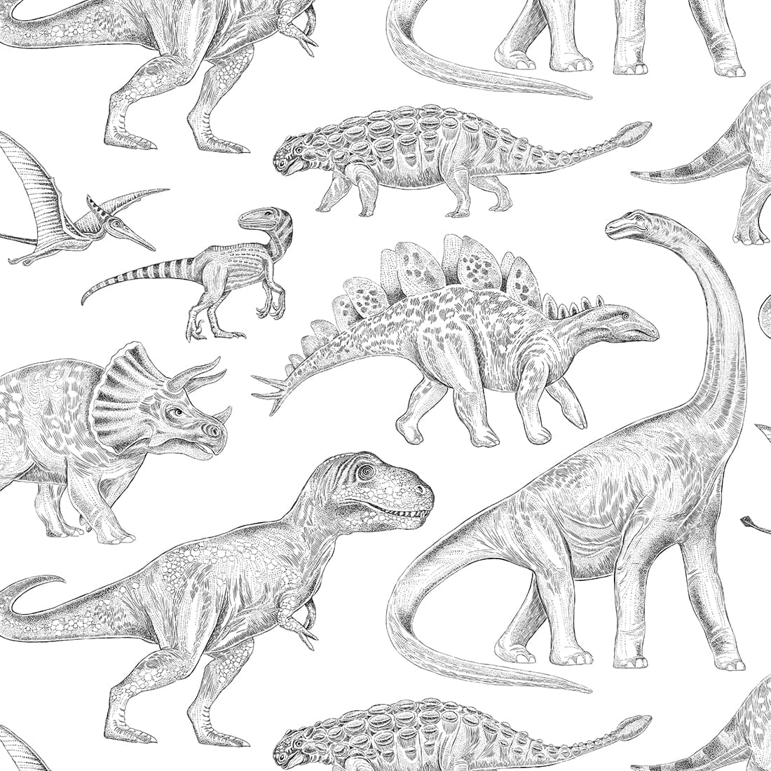 sample wallpaper / wallpaper dino / wallpaper for kids