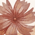 sample wallpaper / flowers boho wallpaper / wallpaper pastelowe love