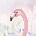 wallpaper flamingos / flamingos wallpaper / wallpaper for kids / wallpaper pastelowe love