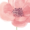 wallpaper spring garden / floral wallpaper / wallpaper for kids / wallpaper pastelowe love