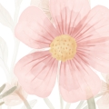 wallpaper butterflies / butterfly wallpaper / wallpaper for kids / wallpaper pastelowe love