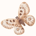 wallpaper flowers boho / floral wallpaper / wallpaper for kids / wallpaper pastelowe love