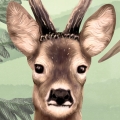 wallpaper forest / woodland wallpaper / wallpaper for kids / wallpaper pastelowe love