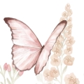 wallpaper butterflies / butterfly wallpaper / wallpaper for kids / wallpaper pastelowe love