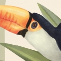 wallpaper safari / jungle wallpaper / wallpaper for kids / wallpaper pastelowe love