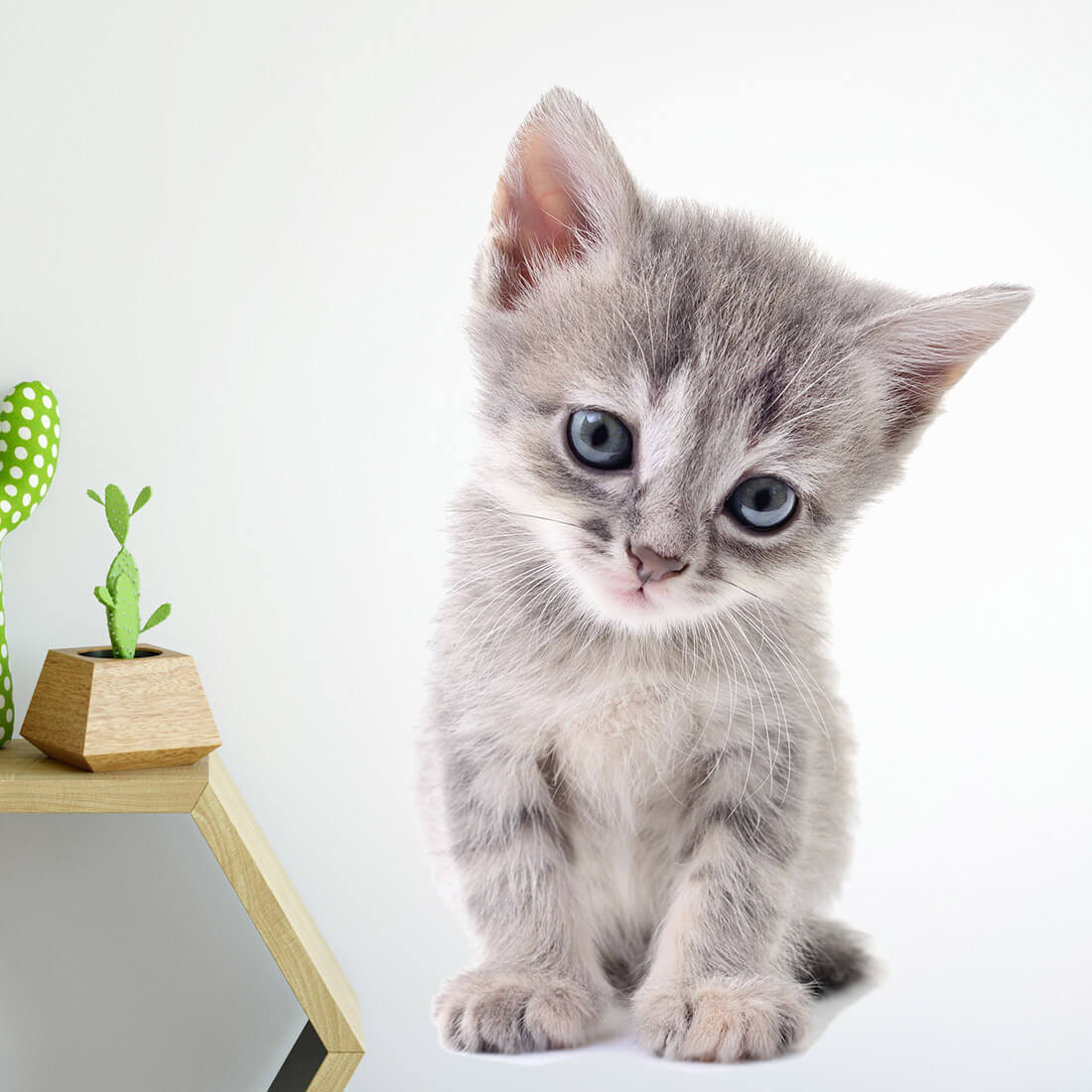 kitten | sticker. child's wall decal. room decorations