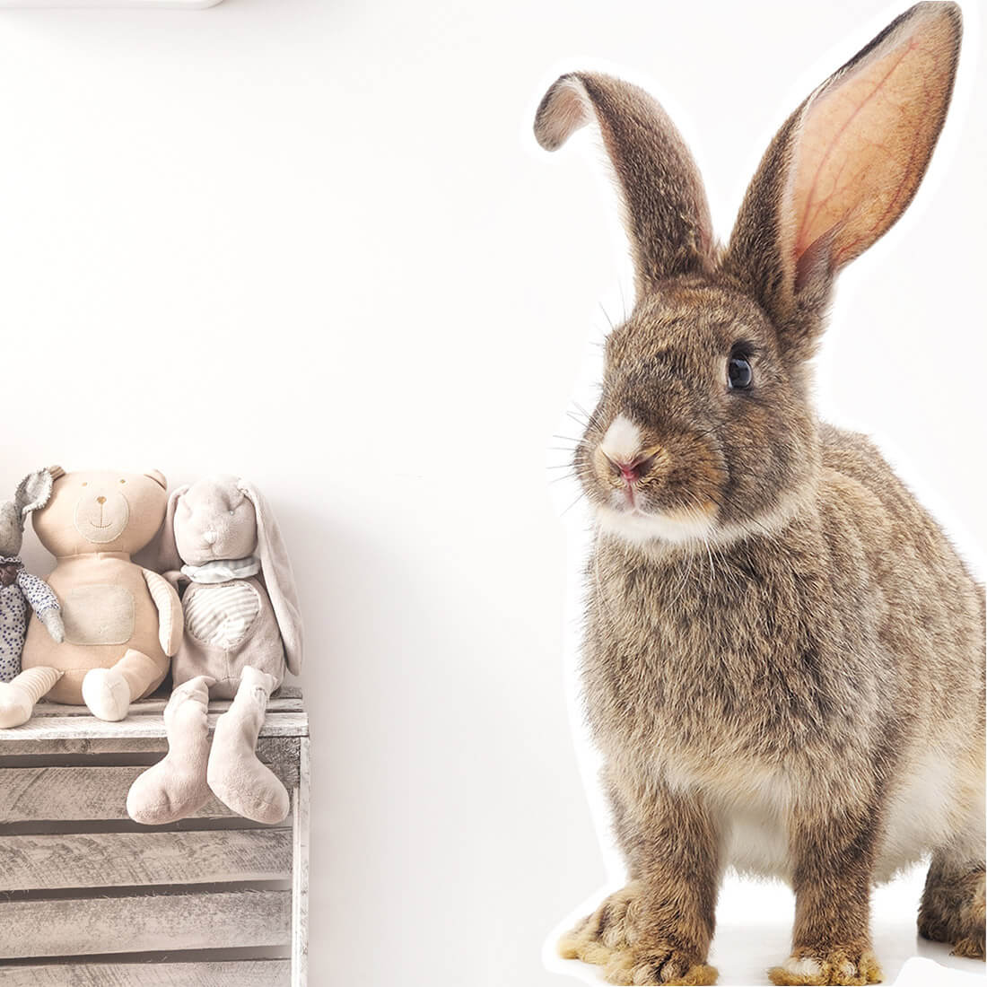 rabbit | sticker. child's wall decal. room decorations